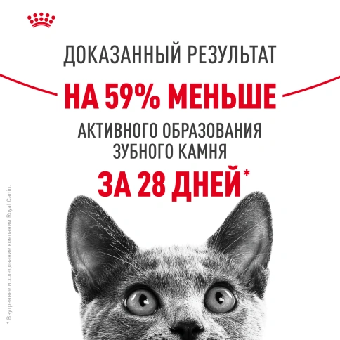 Сухой Корм Royal Canin DENTAL CARE (ДЭНТАЛ КЭА)Питание для кошек в возрасте от 1 года и старше, обеспечивает гигиену полости рта и снижает образование зубного налета на 59 % за 28 дней, 1,5 кг фото 11