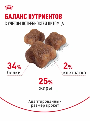 Сухой корм Royal Canin Mother & Babycat для котят в возрасте до 4 месяцев и кошек в период беременности и лактации, 10 кг фото 4