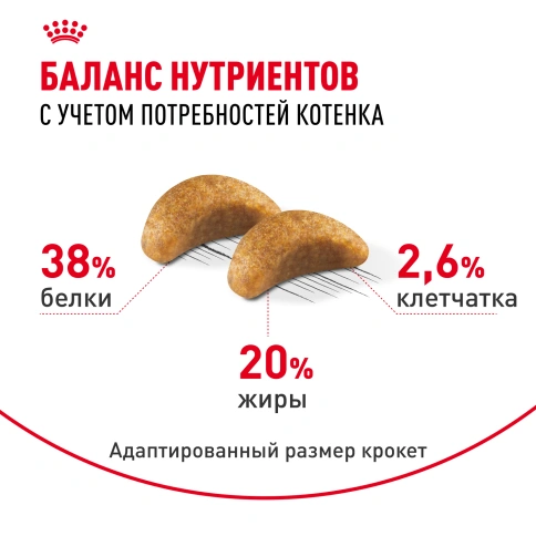 Сухой Корм Royal Canin KITTEN BRITISH SHORTHAIR (КИТТЕН БРИТИШ ШОРТХЭЙР) Birth &amp; GrowthСпециальное питание для котят породы британская короткошерстная в возрасте от 4 до 12 месяцев фото 4