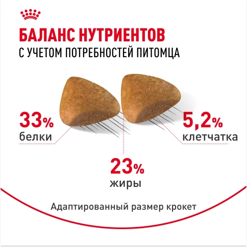 Сухой Корм Royal Canin SPHYNX (СФИНКС)Специальное питание для кошек породы сфинкс в возрасте от 1 года и старше, 2 кг фото 4