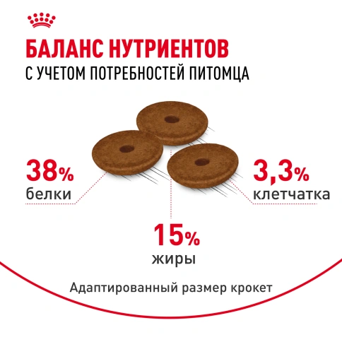Сухой Корм Royal Canin DIGESTIVE CARE (ДАЙДЖЕСТИВ КЭА)Питание для кошек в возрасте от 1 года и старше, обеспечивает здоровье кожи, красоту и блеск шерсти после 21 дня кормления, 2 кг фото 4