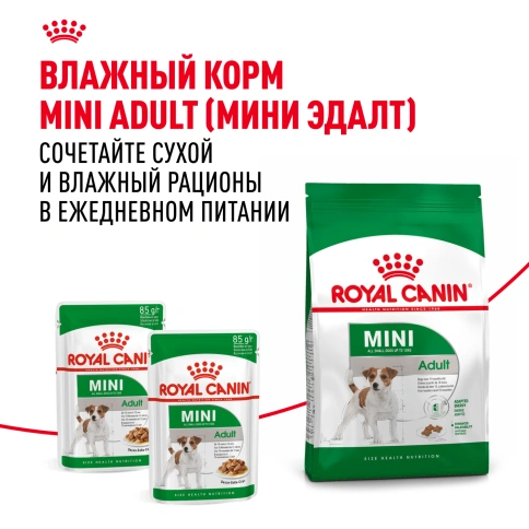 Сухой корм Royal Canin Mini Adult для взрослых собак, 2 кг фото 8