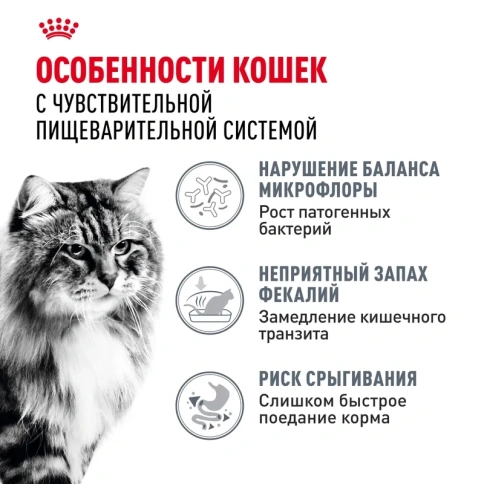 Сухой корм Royal Canin Digestive Care FR для взрослых кошек при расстройстве пищеварительной системы, 10 кг фото 2