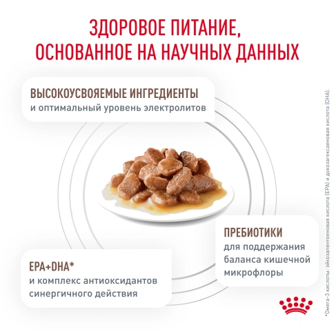 Влажный диетический корм Royal Canin Gastrointestinal для кошек при расстройствах пищеварения, пауч, 85 г фото 7