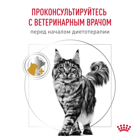 Влажный корм Royal Canin Urinary S/O для кошек при заболеваниях дистального отдела мочевыделительной системы, паштет, пауч, 85 г фото 11