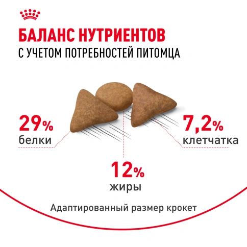 Сухой Корм Royal Canin INDOOR APPETITE CONTROL (ИНДОР АПЕТАЙТ КОНТРОЛ)Питание для кошек, склонных к перееданию, живущих в помещении, в возрасте от 1 года до 7 лет, 2 кг фото 4