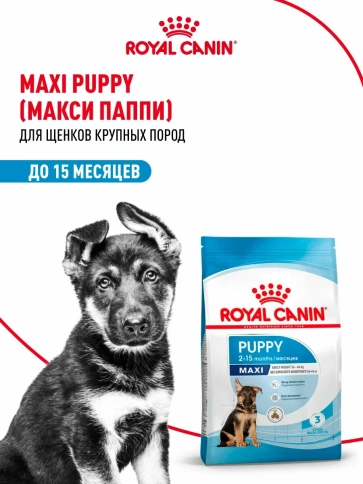 Сухой корм Royal Canin Maxi Puppy для щенков крупных пород, 20 кг фото 1
