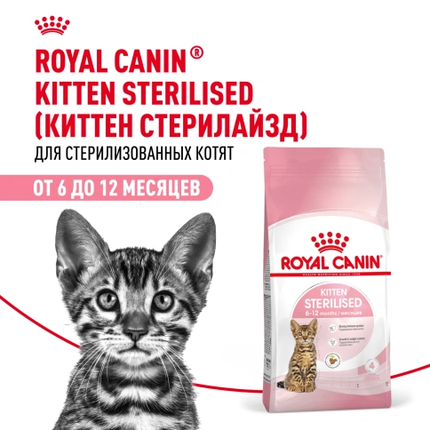 Сухой Корм Royal Canin KITTEN STERILISED (КИТТЕН СТЕРИЛАЙЗД)Питание для стерилизованных котят с момента операции до 12 месяцев, 3.5 кг фото 12
