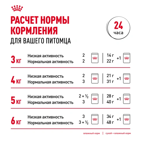 Сухой Корм Royal Canin DIGESTIVE CARE (ДАЙДЖЕСТИВ КЭА)Питание для кошек в возрасте от 1 года и старше, обеспечивает здоровье кожи, красоту и блеск шерсти после 21 дня кормления, 2 кг фото 9