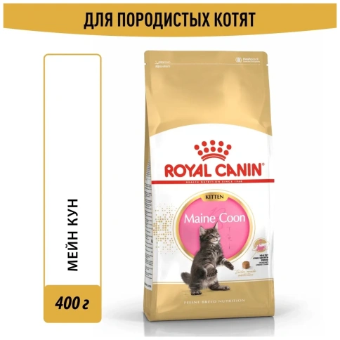 Сухой корм Royal Canin Maine Coon Kitten для котят породы мейн-кун, 400 г фото 2