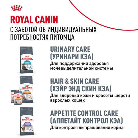 Сухой Корм Royal Canin BENGAL (БЕНГАЛ)Специальное питание для кошек бенгальской породы, в возрасте от 1 года и старше, 2 кг фото 10