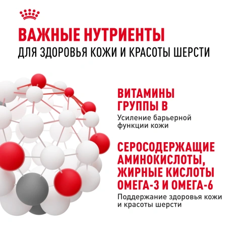 Сухой Корм Royal Canin HAIR &amp; SKIN CARE (ХЭЙР ЭНД СКИН КЭА)Питание для кошек в возрасте от 1 года и старше, обеспечивает здоровье кожи, красоту и блеск шерсти после 21 дня кормления, 2 кг фото 5