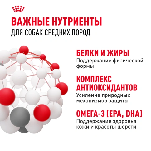 Сухой корм Royal Canin Medium Adult для собак, 3 кг фото 5