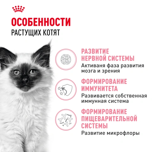 Сухой Корм Royal Canin  KITTEN (КИТТЕН) Питание для гармоничного роста котят в возрасте с 4 до 12 месяцев, 2 кг фото 2