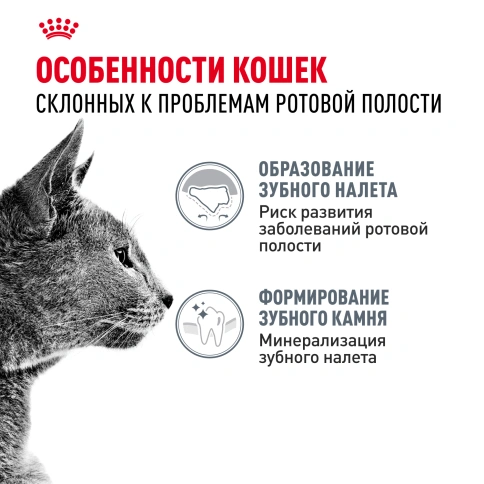 Сухой Корм Royal Canin DENTAL CARE (ДЭНТАЛ КЭА)Питание для кошек в возрасте от 1 года и старше, обеспечивает гигиену полости рта и снижает образование зубного налета на 59 % за 28 дней, 1,5 кг фото 2
