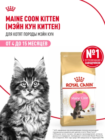 Сухой Корм Royal Canin KITTEN MAINE COON (КИТТЕН МЕЙН-КУН) Birth &amp; GrowthСпециальное питание для котят породы мейн-кун, а также для сибирских, норвежских лесных и других крупныхполудлинношерстных котят в возрасте от 3 до 15 месяцев фото 13