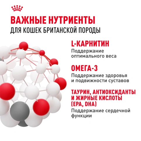 Сухой корм Royal Canin British Shorthair для кошек породы британская короткошерстная, 4 кг фото 5