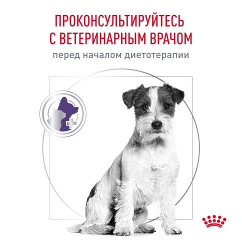 Сухой корм Royal Canin Neutered Adult Small Dogs для стерилизованных собак мелких пород, 3.5 кг фото 7