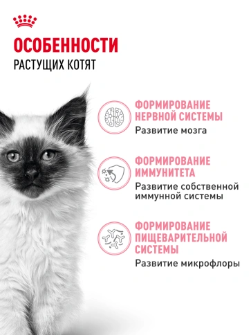 Сухой Корм Royal Canin  KITTEN (КИТТЕН) Питание для гармоничного роста котят в возрасте с 4 до 12 месяцев, 2 кг фото 16