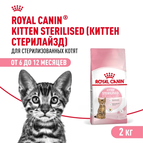 Сухой Корм Royal Canin  KITTEN STERILISED (КИТТЕН СТЕРИЛАЙЗД)Питание для стерилизованных котят с момента операции до 12 месяцев, 2 кг фото 1