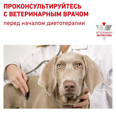 Сухой корм Royal Canin Anallergenic AN18 для взрослых собак при тяжелой пищевой аллергии, 3 кг фото 7