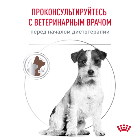 Сухой корм Royal Canin Gastrointestinal Low Fat Small Dogs для собак, 1.5 кг фото 7