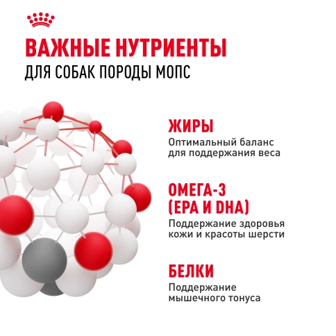 Сухой корм Royal Canin Pug Adult для взрослых собак, 7.5 кг фото 5
