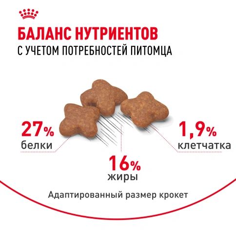 Сухой корм Royal Canin Mini Adult для взрослых собак, 8 кг фото 4