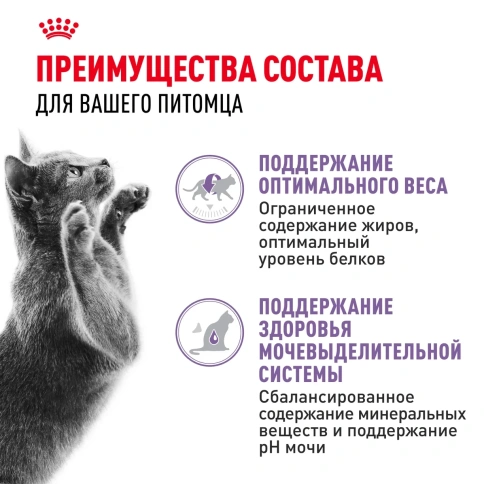 Влажный корм Royal Canin Sterilised для стерилизованных кошек и кастрированных котов, паштет, пауч, 85 г фото 2