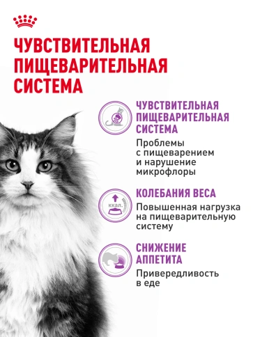 Сухой Корм Royal Canin SЕNSIBLE (СЕНСИБЛ)Питание для кошек в возрасте от 1 года до 7 лет с чувствительной пищеварительной системой, 2 кг фото 17