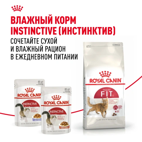 Сухой Корм Royal Canin FIT (ФИТ)Питание для кошек с умеренной активностью, имеющих доступ на улицу, в возрасте от 1 года до 7 лет, 2 кг фото 8