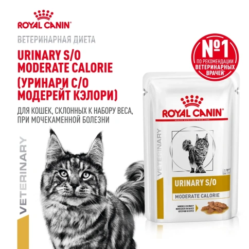 Влажный корм Royal Canin Urinary S/O для кошек при заболеваниях дистального отдела мочевыделительной системы, кусочки в соусе, пауч, 85 г фото 2