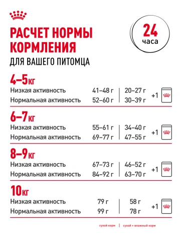 Сухой Корм Royal Canin MAINE COON (МЕЙН-КУН)Специальное питание для кошек породы мейн-кун, а также для кошек крупных размеров: сибирской,норвежской лесной и других, в возрасте от 15 месяцев и старше фото 30