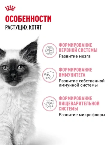Сухой корм Royal Canin Kitten для котят от 4 до 12 месяцев, 4 кг фото 2