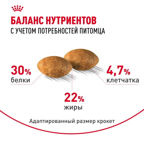 Сухой Корм Royal Canin PERSIAN (ПЕРСИАН)Специальное питание для кошек персидской породы, а также для кошек экзотической короткошерстной породыв возрасте от 1 года и старше, 2 кг фото 4