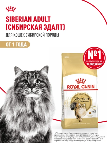 Сухой Корм Royal Canin SIBERIAN (САЙБЕРИАН)Специальное питание для кошек сибирской породы, в возрасте от 1 года и старше, 2 кг фото 13