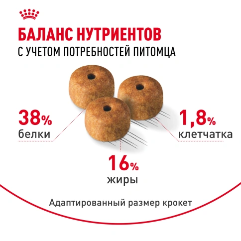 Сухой Корм Royal Canin SIAMESE (СИАМИЗ) Специальное питание для кошек сиамской породы, а также для кошек сиамо-ориентальной группы пород в возрасте от 1 года и старше, 2 кг фото 4