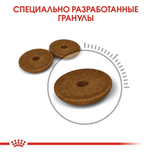 Сухой корм Royal Canin Digestive Care для взрослых кошек при расстройствах пищеварительной системы, 4 кг фото 4