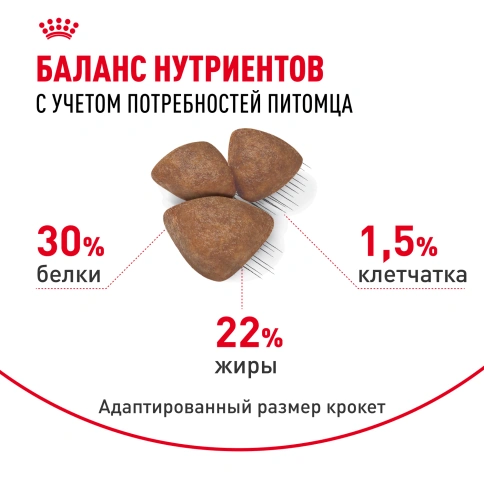 Сухой корм Royal Canin Mini Starter Mother & Babydog для щенков и кормящих сук, 8.5 кг фото 4