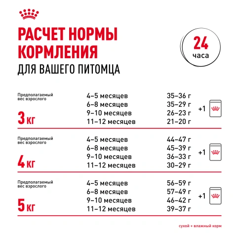 Сухой Корм Royal Canin KITTEN BRITISH SHORTHAIR (КИТТЕН БРИТИШ ШОРТХЭЙР) Birth &amp; GrowthСпециальное питание для котят породы британская короткошерстная в возрасте от 4 до 12 месяцев фото 9