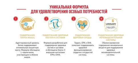 Сухой Корм Royal Canin MAINE COON (МЕЙН-КУН)Специальное питание для кошек породы мейн-кун, а также для кошек крупных размеров: сибирской,норвежской лесной и других, в возрасте от 15 месяцев и старше фото 18