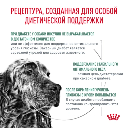 Сухой корм Royal Canin Diabetic для собак, 12 кг фото 3