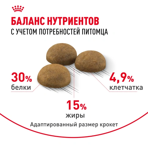 Сухой Корм Royal Canin INDOOR LONG HAIR (ИНДОР ЛОНГ ХЭЙР)Питание для длинношерстных и полудлинношерстных кошек, живущих в помещении, в возрасте от 1 года до 7 лет, способствует поддержанию красоты и блеска шерсти, выведению волосяных комочков, 2 кг фото 4