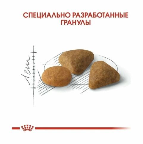 Сухой корм Royal Canin Exigent 35/30 Savoir Sensation для взрослых привередливых кошек, с птицей, 10 кг фото 4