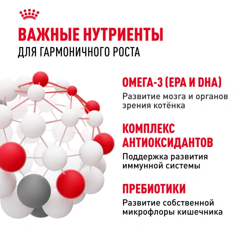 Сухой корм Royal Canin Kitten для котят, 4 кг фото 5