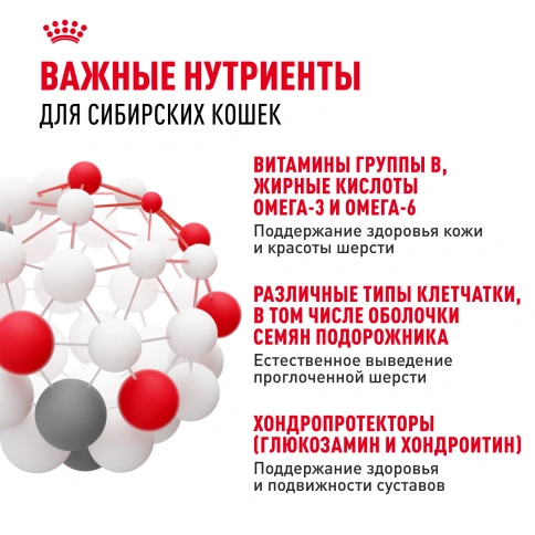 Сухой Корм Royal Canin SIBERIAN (САЙБЕРИАН)Специальное питание для кошек сибирской породы, в возрасте от 1 года и старше, 2 кг фото 5