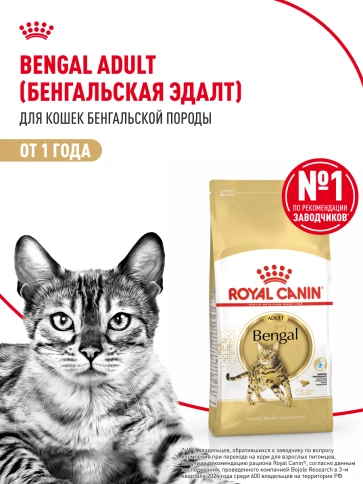 Сухой Корм Royal Canin BENGAL (БЕНГАЛ)Специальное питание для кошек бенгальской породы, в возрасте от 1 года и старше, 2 кг фото 13