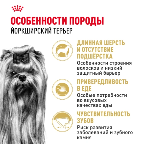 Сухой корм Royal Canin Yorkshire Terrier Adult для взрослых собак, 7.5 кг фото 2