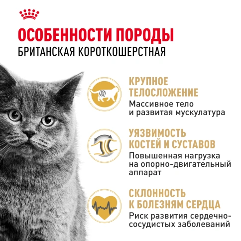 Сухой Корм Royal Canin BRITISH SHORTHAIR (БРИТИШ ШОРТХЭЙР)Специальное питание для кошек породы британская короткошерстная, а также для кошек породы шотландская вислоухая в возрасте от 1 года и старше, 2 кг фото 3