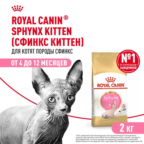 Сухой Корм Royal Canin KITTEN SPHYNX (КИТТЕН СФИНКС) Birth & GrowthСпециальное питание для кошек породы сфинкс в возрасте от 4  до 12 месяцев, 2 кг фото 1